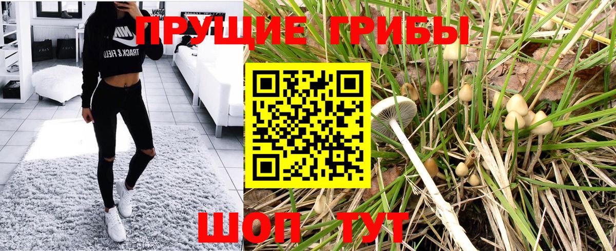 Псилоцибиновые грибы MAGIC MUSHROOMS  Вход с VPN  Новосибирск 