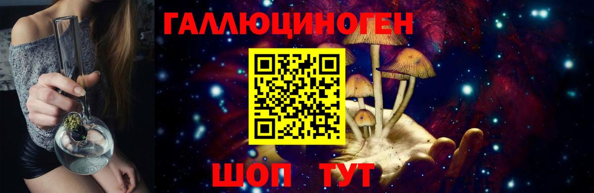 Псилоцибиновые грибы Psilocybine cubensis Новосибирск